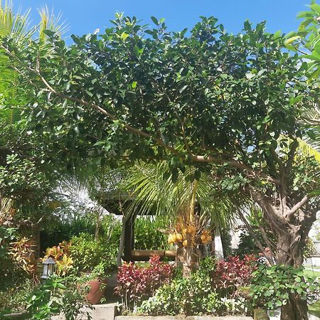 ג'ימבאראן Muaya Villa מראה חיצוני תמונה