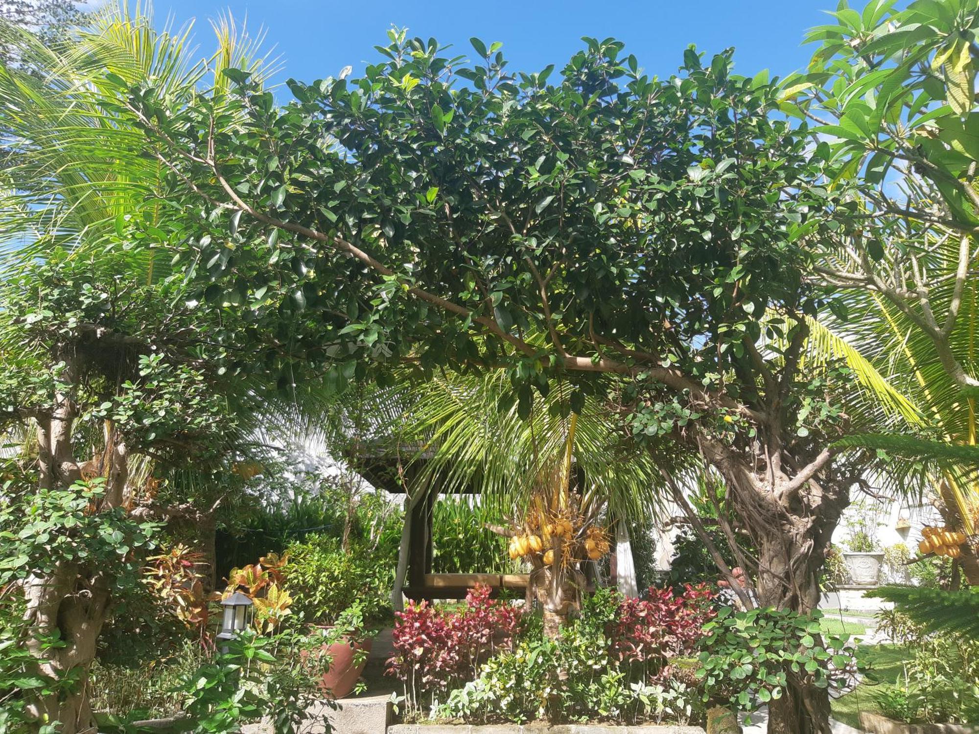 ג'ימבאראן Muaya Villa מראה חיצוני תמונה